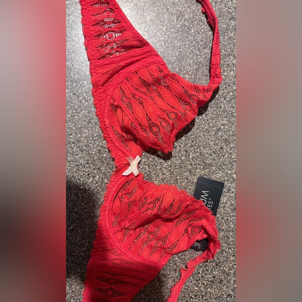 Red Lace Heidi Klum Bra